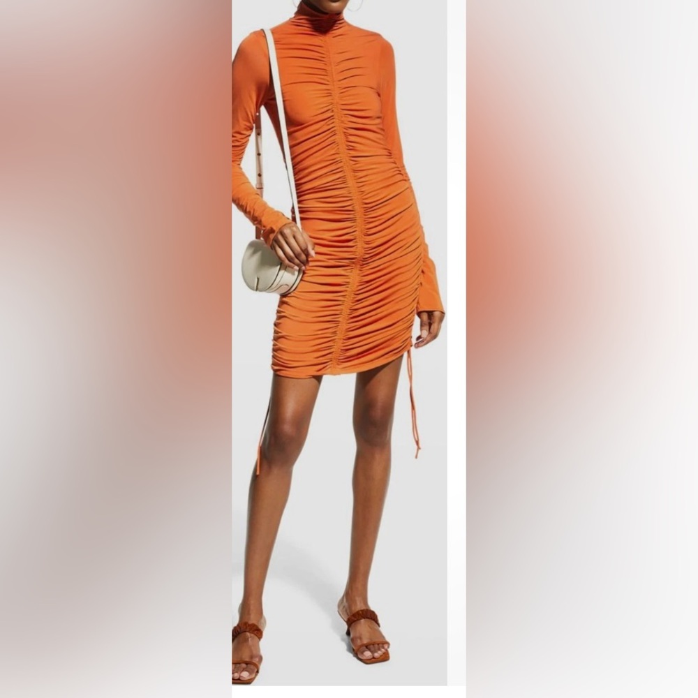 A. L. C bodycon dress make an offer